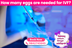 HOW MANY EGGS ARE NEEDED FOR IVF