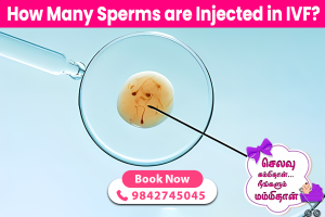 How Many Sperms are Injected in IVF?