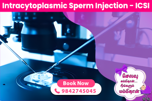 Intracytoplasmic Sperm Injection - ICSI