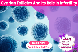 OVARIAN FOLLICLES AND ITS ROLE IN INFERTILITY.jpg